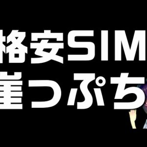 【私たちを救って！】崖っぷちの格安SIM、総務省に接続料＆卸料金値下げ要望