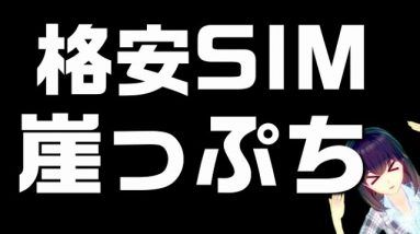 【私たちを救って！】崖っぷちの格安SIM、総務省に接続料＆卸料金値下げ要望