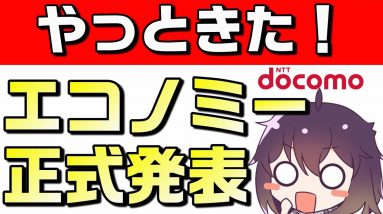 【docomo（ドコモ）】低価格&小容量「エコノミー」の正体