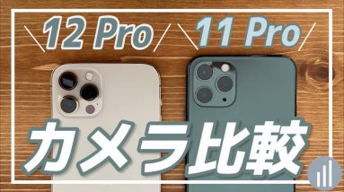 【カメラ比較】iPhone 12 Pro VS iPhone 11 Pro｜何がどう変わった？