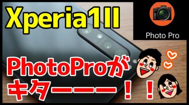 Xperia 1 IIにアプデがキタァァァ！Photography Proが使えるぞ！リアルタイム瞳AF＆高速連写がスゲェ！【Xperia1II】