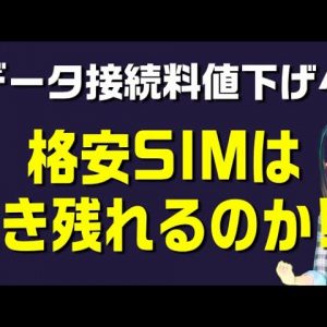 MVNOのデータ接続料値下げ検討状況を解説