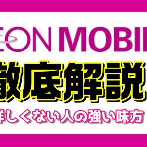 【概要欄特典あり】スマホに詳しくない人でも安心な格安SIM・イオンモバイルを徹底解説します！