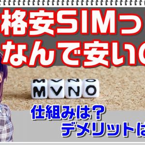 【格安SIMの仕組み】格安SIMってなんで安いの？