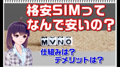 【格安SIMの仕組み】格安SIMってなんで安いの？