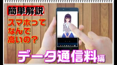 【スマホ料金プランの仕組み】なんで通信速度が遅くなるの！？【データ通信料金編】