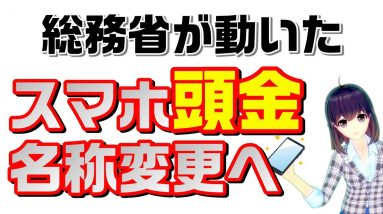 総務省が動いた！スマホの頭金名称変更へ