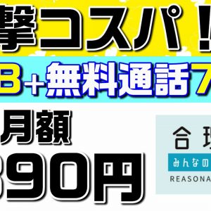 【日本通信SIM】合理的みんなのプラン解説