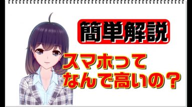 【スマホ料金プランの仕組み】スマホってなんで高いの？