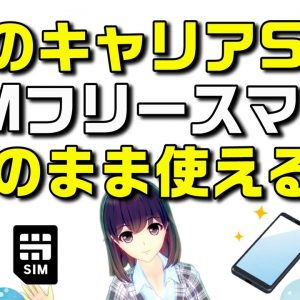 【概要欄訂正あり】SIMフリーのスマートフォンにそのまま既存のキャリア（ドコモ、au、ソフトバンク、ワイモバイル、楽天モバイル）SIMを挿して使う方法を解説します！