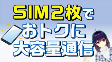 スマホ料金を節約して、大容量データ通信をしたい！SIM２枚運用方法を解説します