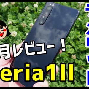 Xperia 1 IIを1ヶ月使って感じたメリット・デメリット（良い点・悪い点）【使用感レビュー】【Xperia1II the good and the bad】