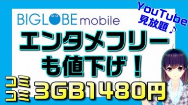 BIGLOBEモバイル月額料金＆エンタメフリー・オプション値下げ！エンタメフリー付き３GB1,480円！【スマサポ劇場】