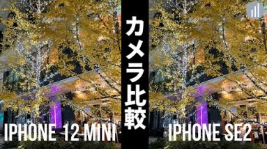 【カメラ比較】iPhone 12 mini vs iPhone SE2！夜景・ポートレート・動画に違いはある？