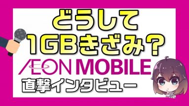 【イオンモバイル直撃インタビュー】新プランはどうして1GBきざみ？