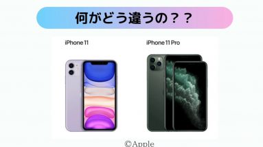 iPhone 11を11Proどっち買い？実機のカメラ機能や写真を比較