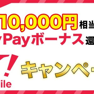 10,000円相当PayPayボーナス還元あり！ワイモバイルキャンペーン