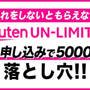 楽天モバイル申し込んだ後が大事！新規申し込みで5,000ポイントこれをしないともらえないので注意