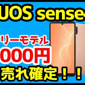 【衝撃特価】AQUOS sense4 SIMフリーが12,000円だと！？ドコモ版との違いも徹底解説！【OCNモバイルONE】