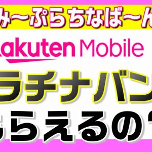 楽天モバイルのプラチナバンド再配分要望を解説