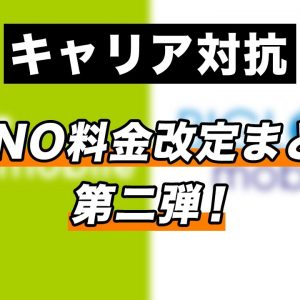 キャリア対抗 格安SIM（MVNO）料金改定まとめ第二弾！