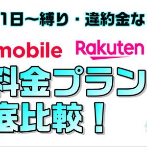 ワイモバイルと楽天モバイルの新プランを比較！