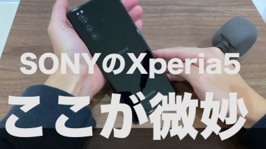 【Xperia5カメラレビュー】どんな写真が撮影できるの？ここが微妙デメリットも紹介