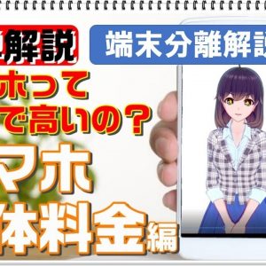 【スマホ料金プランの仕組み】端末分離ってなに！？【スマホ本体料金編】