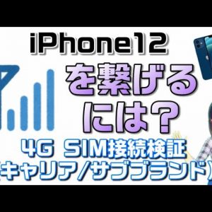 【iPhone12】【SIM挿し替え】4G SIM（キャリア/サブブランド）接続検証