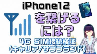 【iPhone12】【SIM挿し替え】4G SIM（キャリア/サブブランド）接続検証