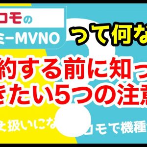 【落とし穴】ドコモのエコノミーMVNO「OCNモバイルONE」って何！？契約するなら知っておきたい5つの注意点！ahamoとも比較！