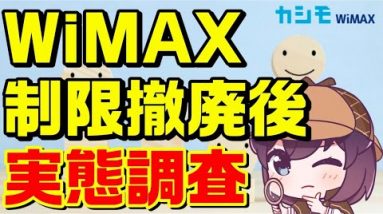 【調査】制限撤廃後WiMAX利用者の声（カシモWiMAX）