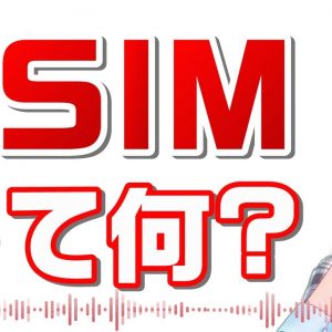 スマホのSIMカードを差し替える必要がないeSIMって何？IIJmioのeSIMプラン「データプランゼロ」も説明！