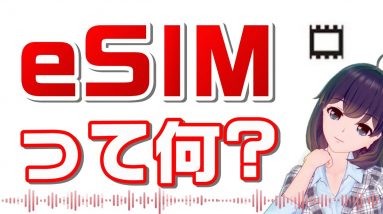 スマホのSIMカードを差し替える必要がないeSIMって何？IIJmioのeSIMプラン「データプランゼロ」も説明！