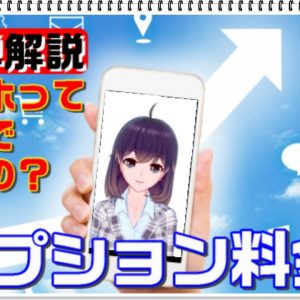 【スマホ料金プランの仕組み】解約忘れに要注意【オプション料金編】