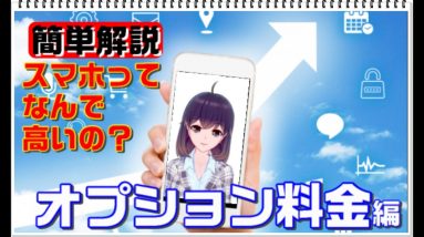 【スマホ料金プランの仕組み】解約忘れに要注意【オプション料金編】