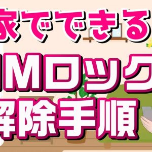 お店に行かずに自分でSIMロック解除！手順を解説！【説明欄訂正あり】