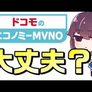 【今後が不安】ドコモのエコノミーMVNOを考えてみた