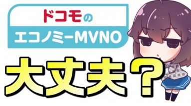 【今後が不安】ドコモのエコノミーMVNOを考えてみた