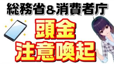 【総務省＆消費者庁】頭金注意喚起を解説