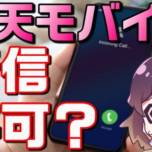 見過ごせない利用者の声（楽天モバイル/Rakuten Link/iPhone）