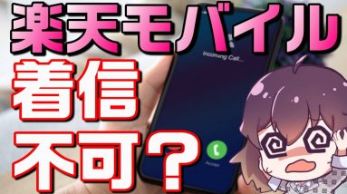 見過ごせない利用者の声（楽天モバイル/Rakuten Link/iPhone）