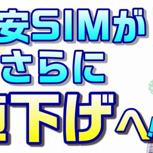 格安SIMの料金に変化が！ドコモのMVNO向け音声通話の卸料金が値下げに！？そもそもなんで高かったの？