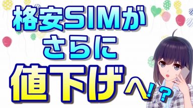 格安SIMの料金に変化が！ドコモのMVNO向け音声通話の卸料金が値下げに！？そもそもなんで高かったの？