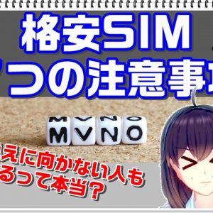 【格安SIMの仕組み】格安SIM7つの注意事項