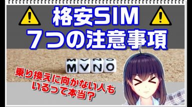 【格安SIMの仕組み】格安SIM7つの注意事項