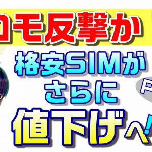 格安SIMの電話料金が値下げなるか！？docomo（ドコモ）の主張！