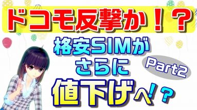 格安SIMの電話料金が値下げなるか！？docomo（ドコモ）の主張！