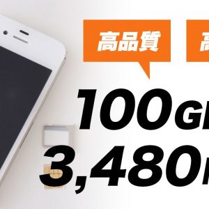 100GB超えも可能！SIMカード2枚の大容量SIM自作「電話・データ使い放題で1年間3,480円」