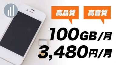 100GB超えも可能！SIMカード2枚の大容量SIM自作「電話・データ使い放題で1年間3,480円」